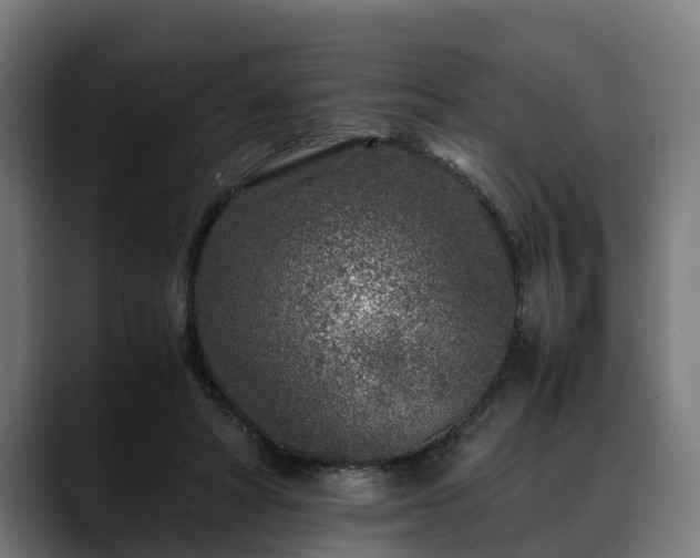 X0000088460402200705291534