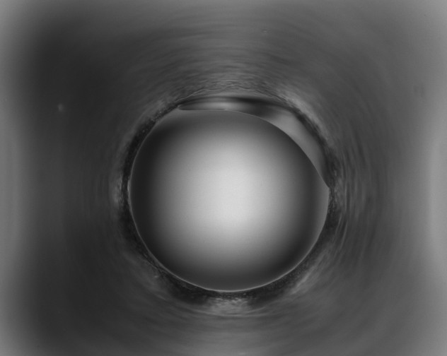 X0000088460403200705291534