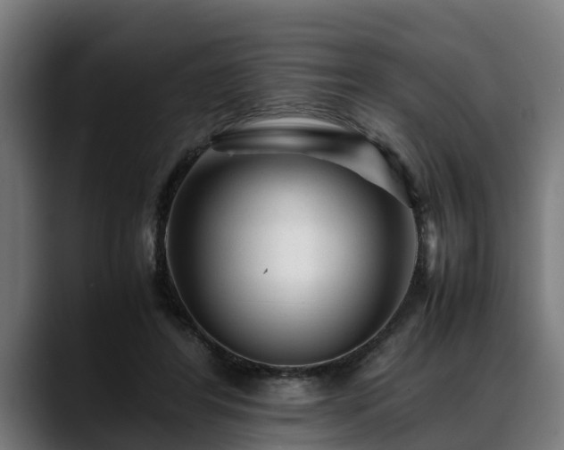 X0000088460404200705291534