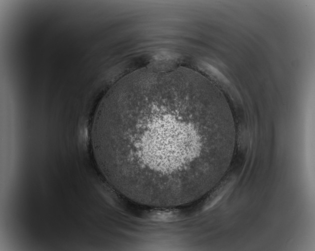 X0000088460405200705291534