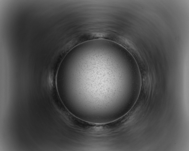 X0000088460406200705291534