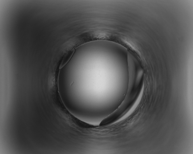 X0000088460407200705291534