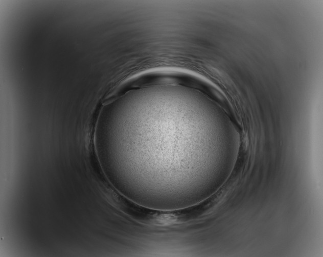 X0000088460409200705291534