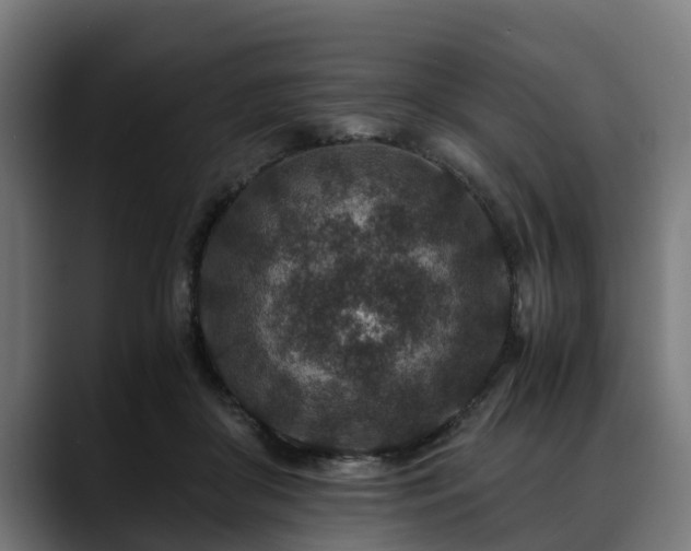 X0000088460410200705291534