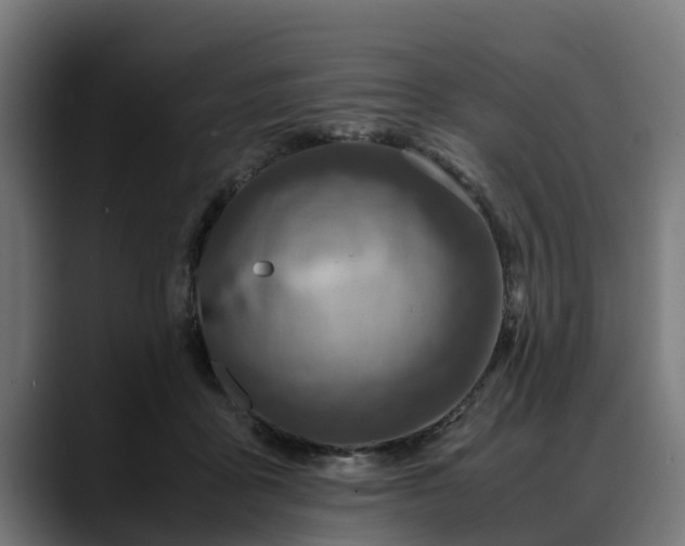 X0000088460411200705291534