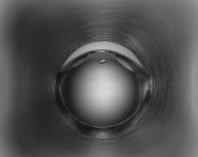 X0000088460412200705291534