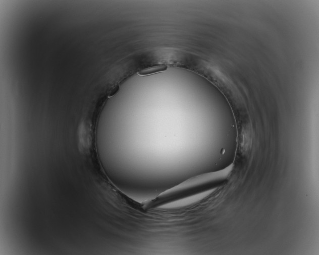 X0000088460413200705291534