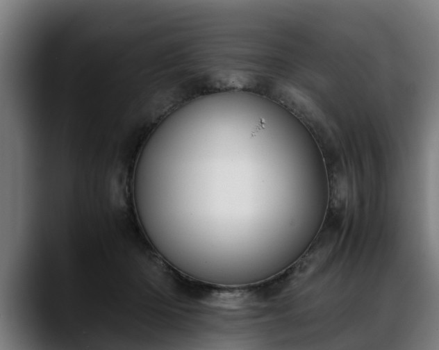 X0000088460414200705291534