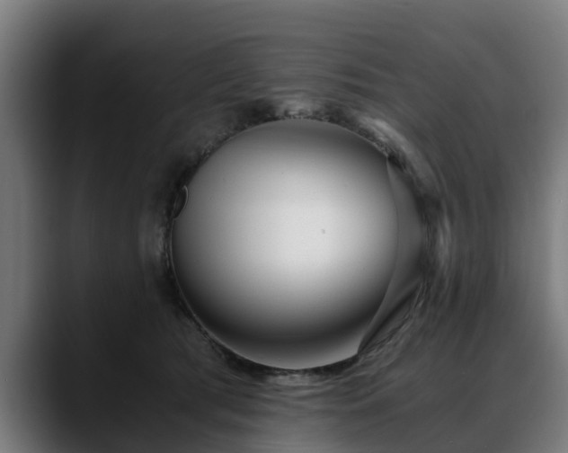 X0000088460417200705291534