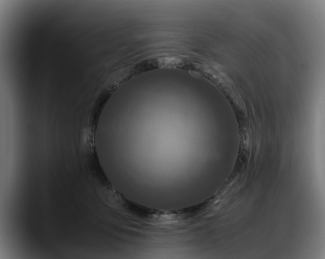 X0000088460419200705291534