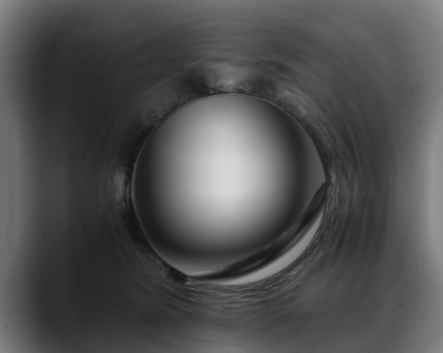 X0000088460420200705291534