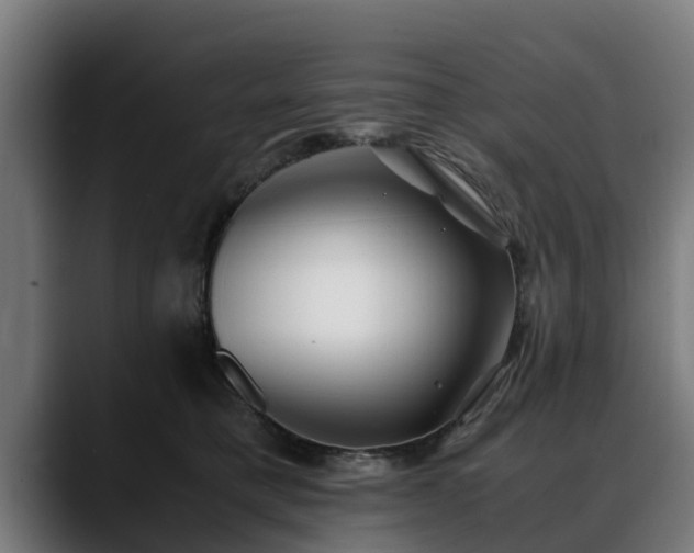 X0000088460421200705291534