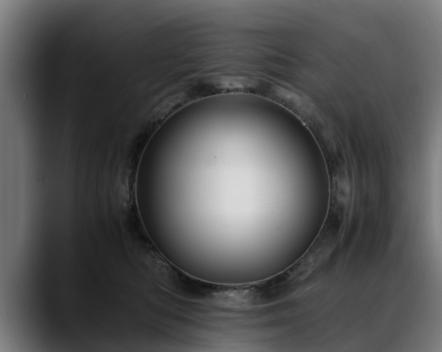 X0000088460422200705291534