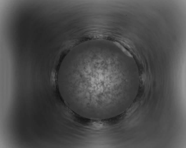 X0000088460423200705291534