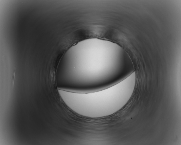 X0000088460425200705291534