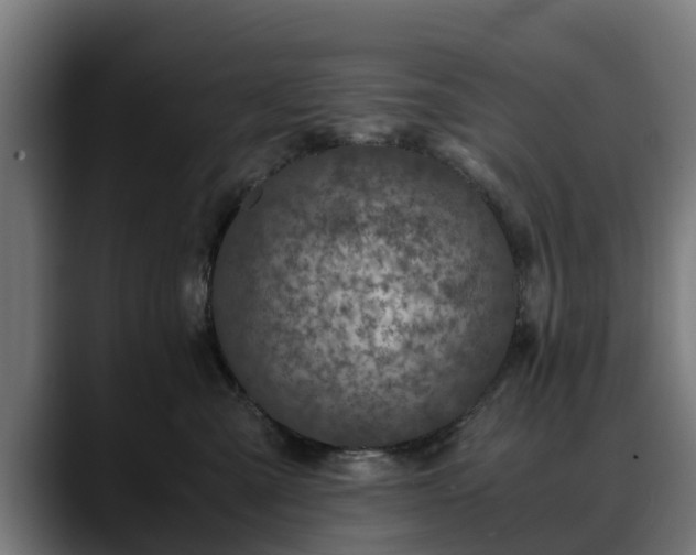 X0000088460427200705291534