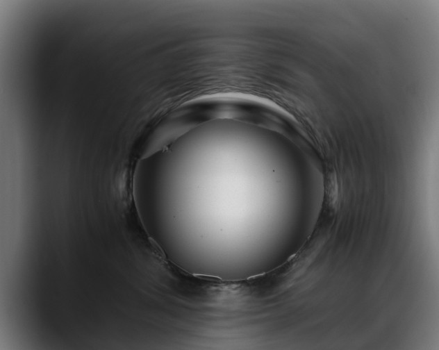 X0000088460428200705291534