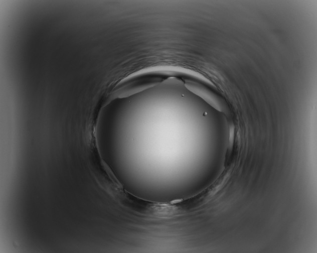 X0000088460429200705291534