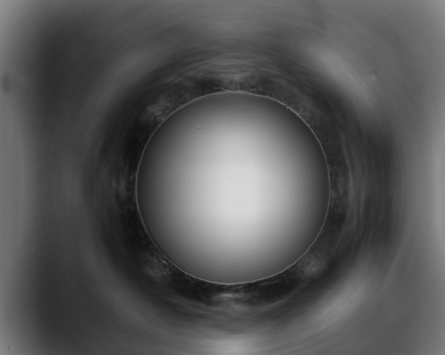 X0000088460430200705291534