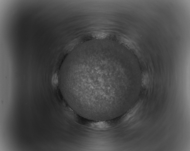 X0000088460431200705291534