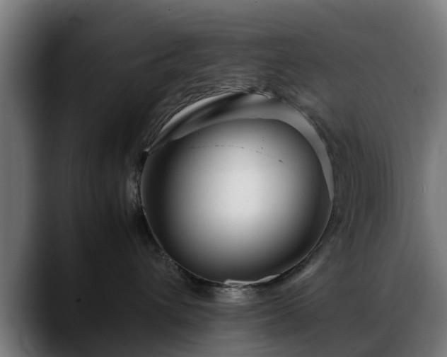 X0000088460432200705291534