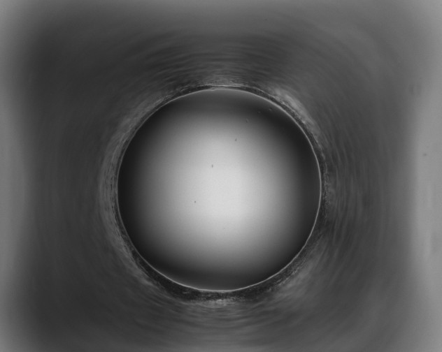 X0000088460433200705291533