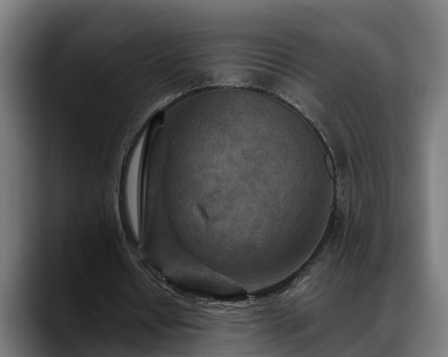 X0000088460434200705291533