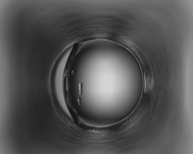 X0000088460435200705291533