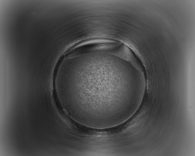 X0000088460438200705291533