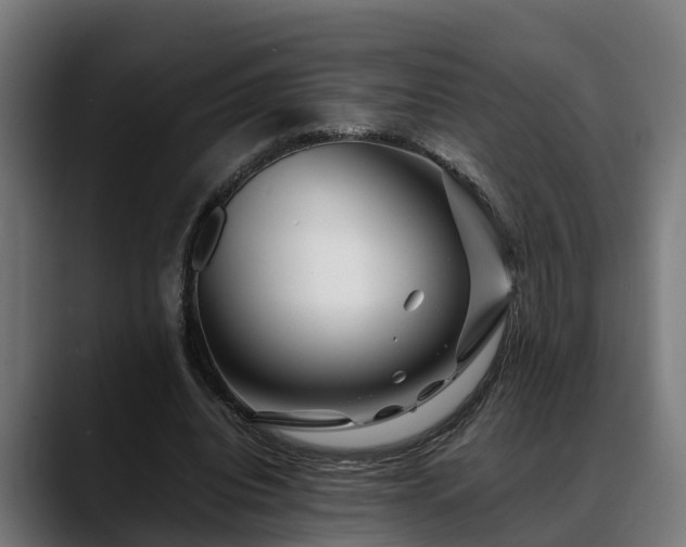 X0000088460440200705291533