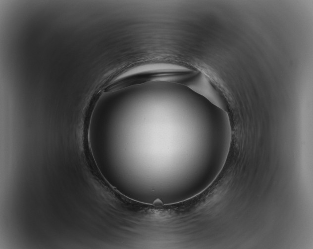 X0000088460442200705291533