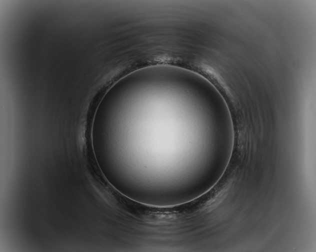 X0000088460443200705291533