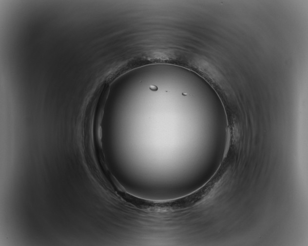 X0000088460444200705291533