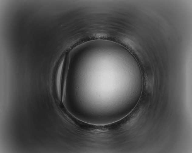 X0000088460447200705291533