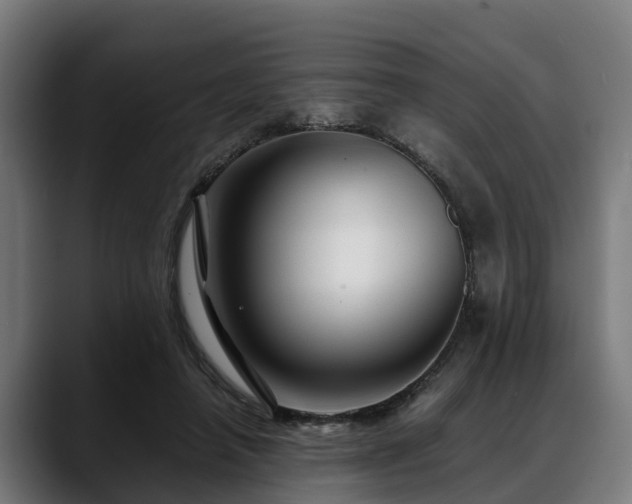 X0000088460450200705291533