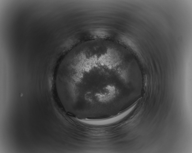 X0000088460451200705291533