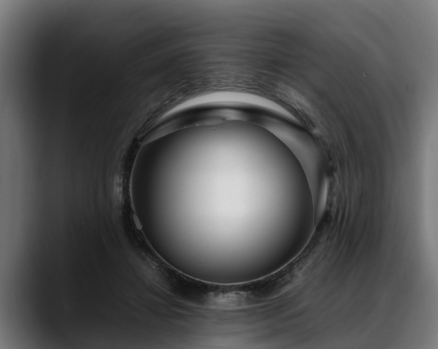 X0000088460452200705291533