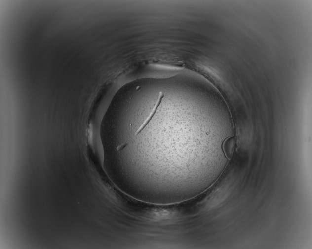 X0000088460453200705291533