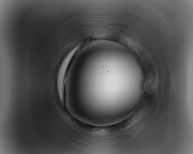 X0000088460454200705291533