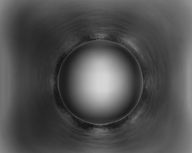 X0000088460455200705291533