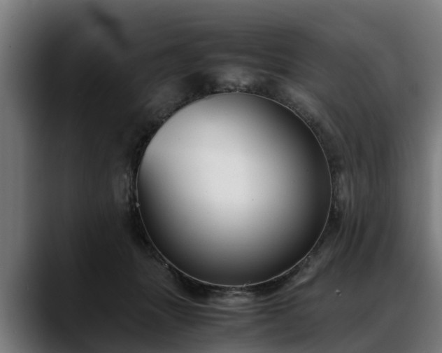 X0000088460463200705291533