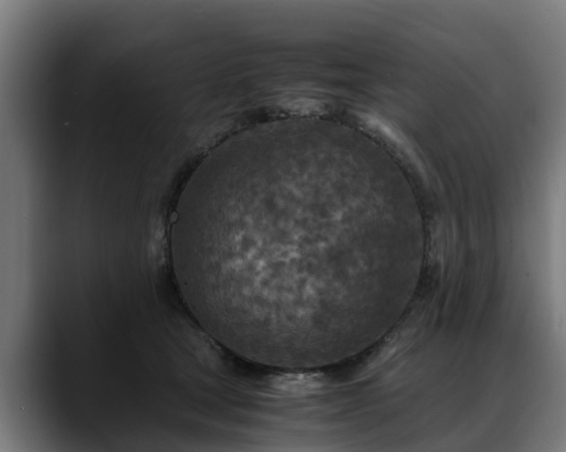 X0000088460465200705291533