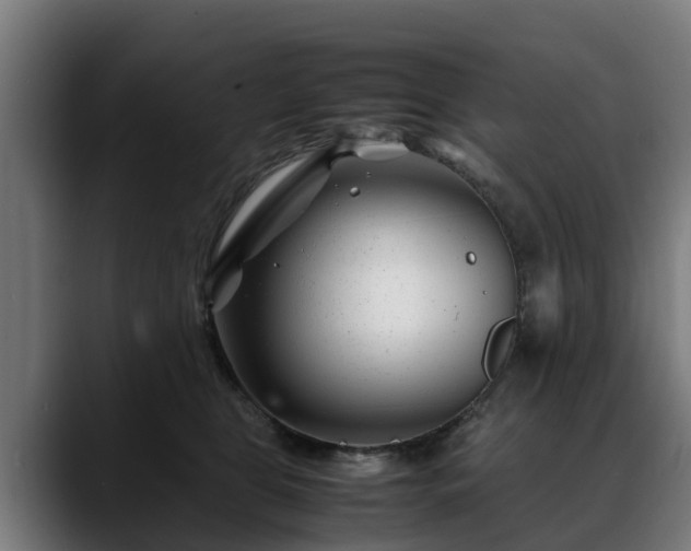 X0000088460469200705291533