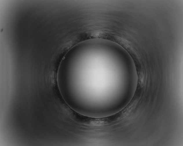 X0000088460470200705291533