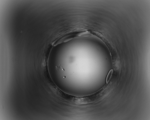 X0000088460472200705291534