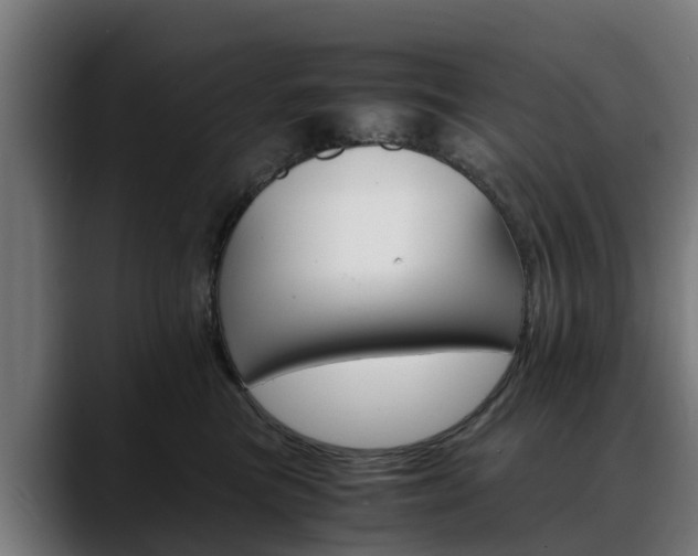 X0000088460473200705291534