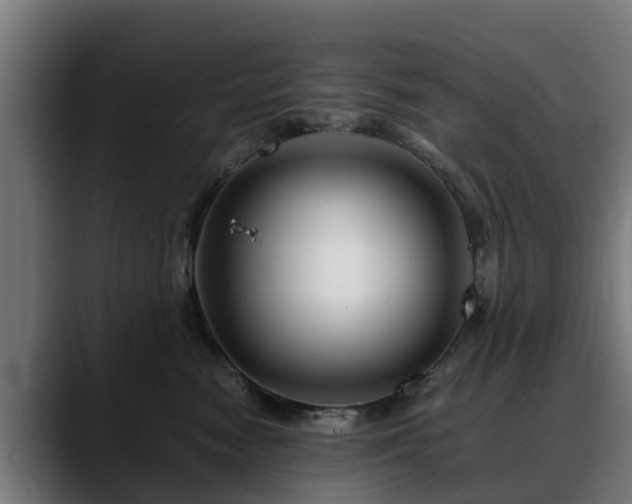 X0000088460474200705291534