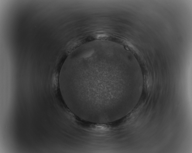 X0000088460475200705291534