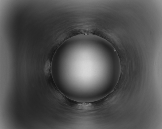 X0000088460480200705291534