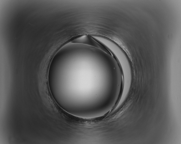 X0000088460481200705291533